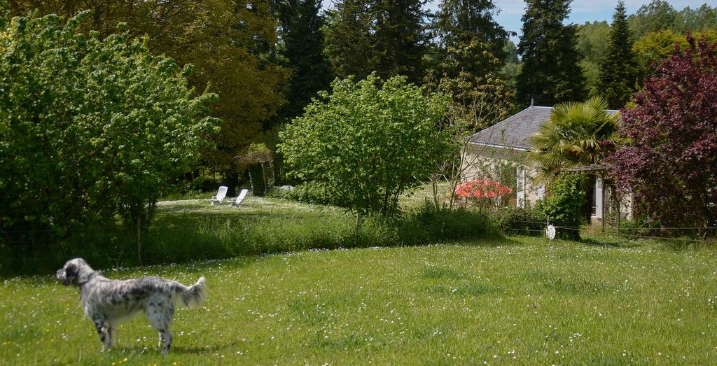 La Barillerie Bed & Breakfast La Flèche Екстериор снимка